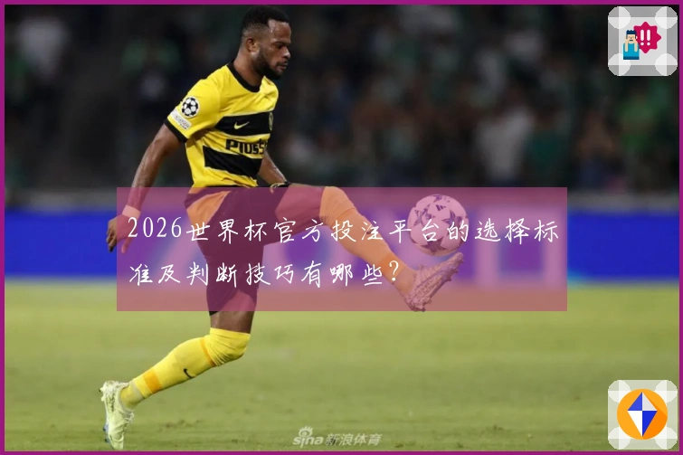 2026世界杯官方投注平台的选择标准及判断技巧有哪些？
