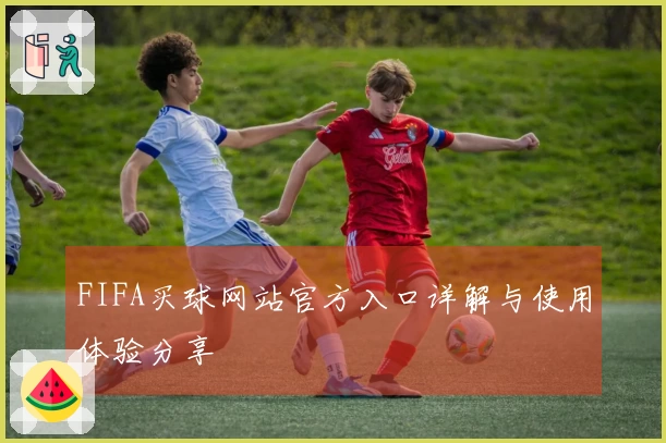 FIFA买球网站官方入口详解与使用体验分享