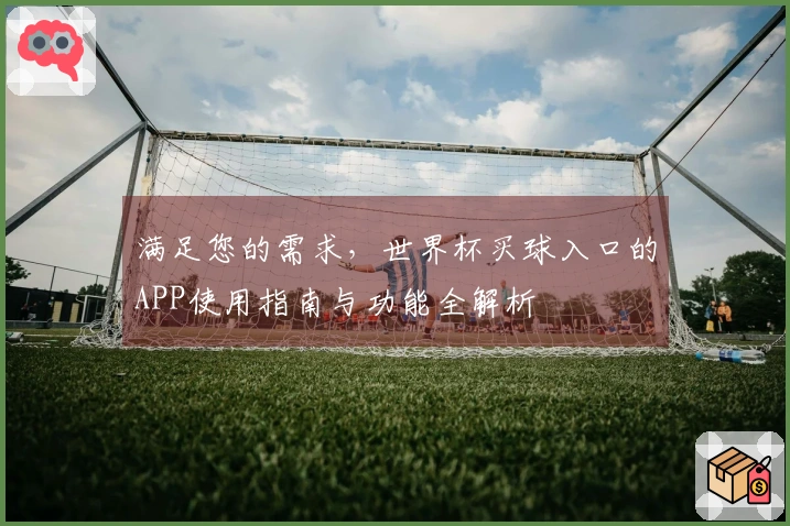 满足您的需求，世界杯买球入口的APP使用指南与功能全解析