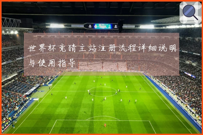 世界杯竞猜主站注册流程详细说明与使用指导