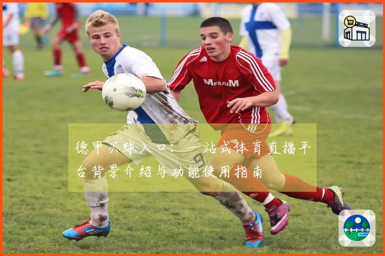 德甲买球入口：一站式体育直播平台背景介绍与功能使用指南