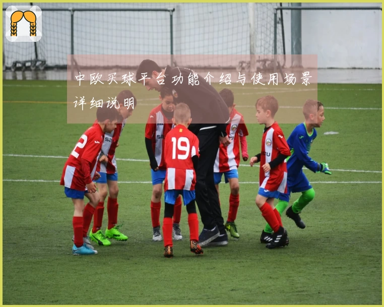 中欧买球平台功能介绍与使用场景详细说明
